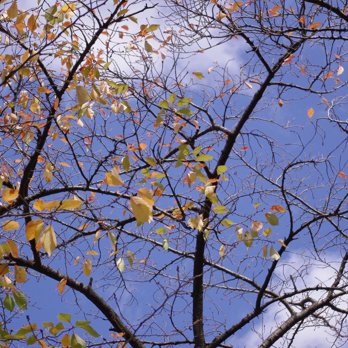 e0142611_23141193.jpg