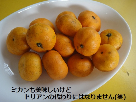 c0145615_1821511.jpg