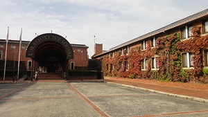 b0197418_23364656.jpg