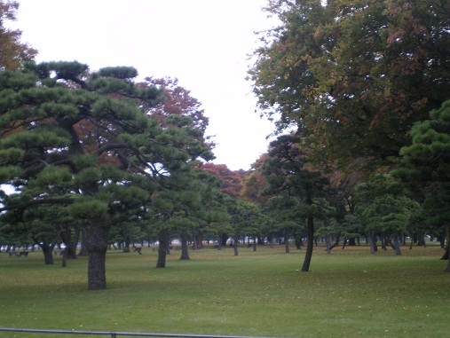 c0124619_13284063.jpg