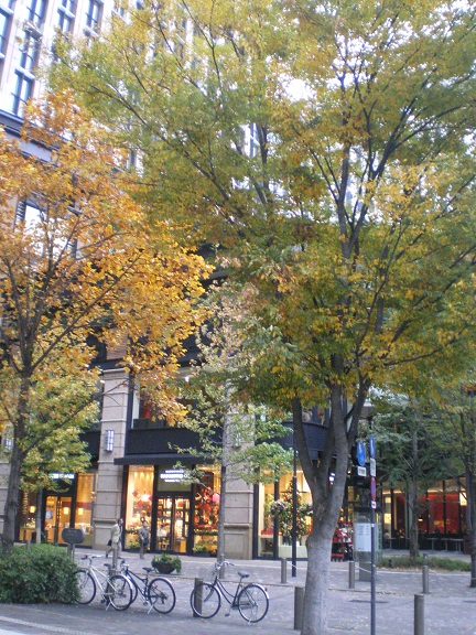 c0124619_13301120.jpg