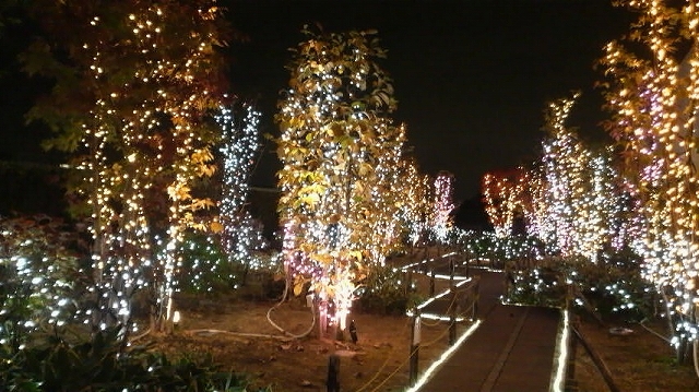 e0170519_21283015.jpg