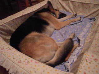 c0090220_14445036.jpg