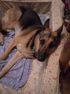 c0090220_14451181.jpg