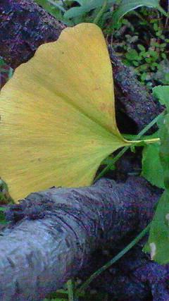 c0097620_22534278.jpg