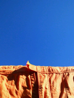 c0074025_135198.jpg