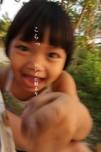 d0042827_15282818.jpg