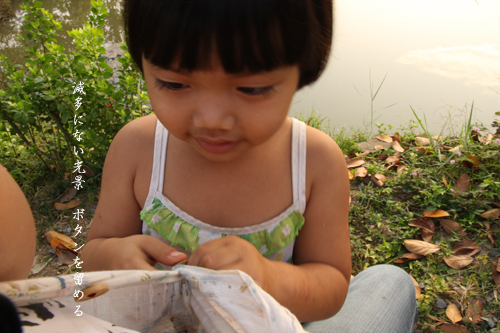 d0042827_15284348.jpg