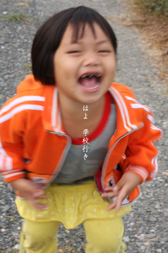 d0042827_1530377.jpg