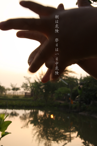 d0042827_15321488.jpg