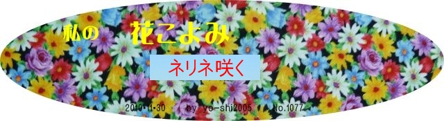 e0033229_20361780.jpg