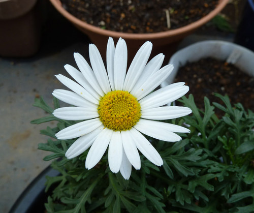 e0033229_21105850.jpg