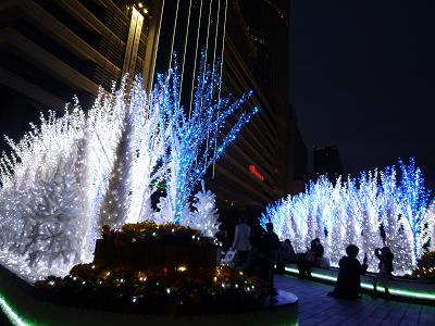 b0138430_19525677.jpg