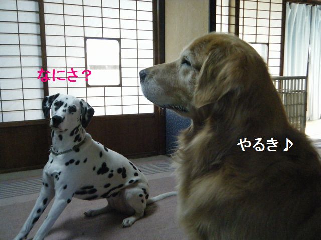 b0127531_11304965.jpg
