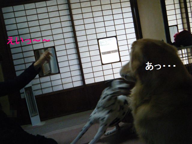 b0127531_11312558.jpg