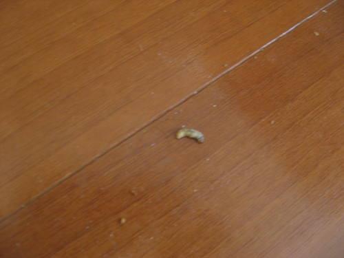 b0138734_22183930.jpg
