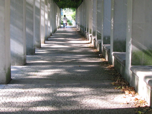 d0176838_5101218.jpg