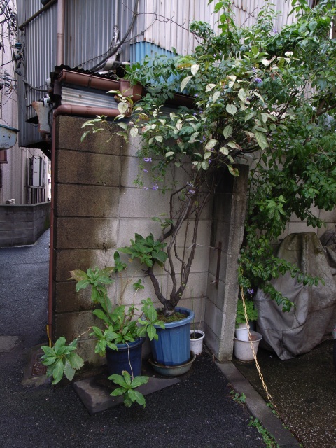 a0087341_19204823.jpg