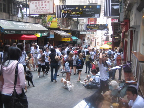 e0018143_0513480.jpg