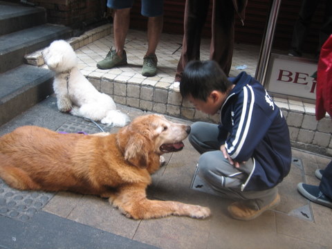 e0018143_054722.jpg