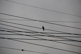 b0200747_2250407.jpg