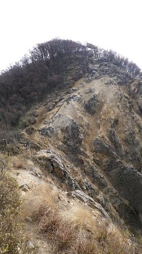 c0042847_17395654.jpg