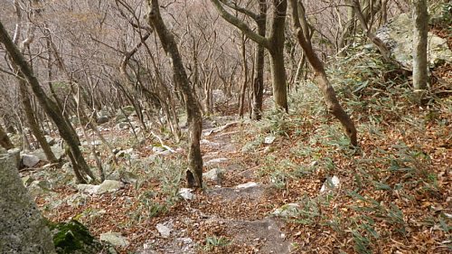 c0042847_17412429.jpg