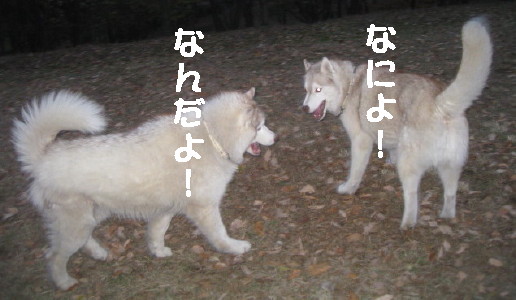 e0121548_21161425.jpg