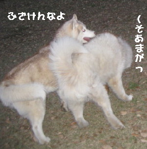 e0121548_2121347.jpg