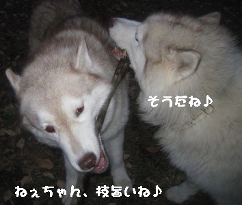 e0121548_21215263.jpg