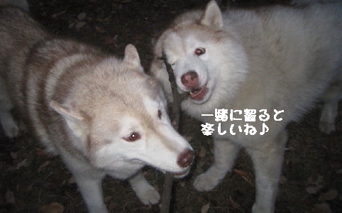 e0121548_21245850.jpg