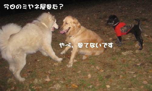 e0121548_21334196.jpg