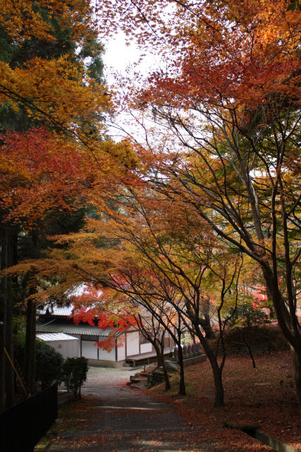 c0073649_22281493.jpg