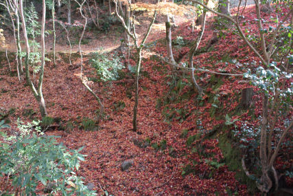c0073649_2230962.jpg