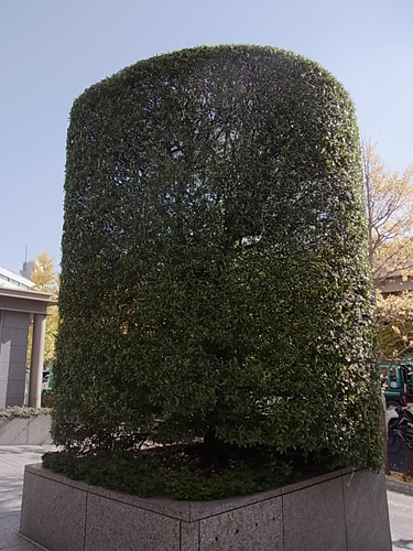 a0004752_724967.jpg