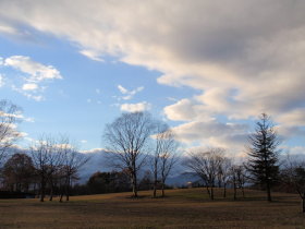 a0155452_254258.jpg