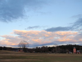 a0155452_26437.jpg