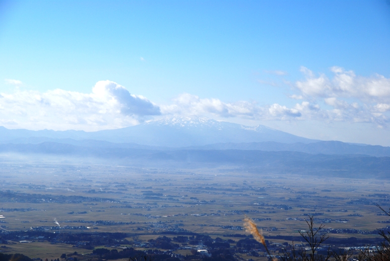 d0169556_1829373.jpg
