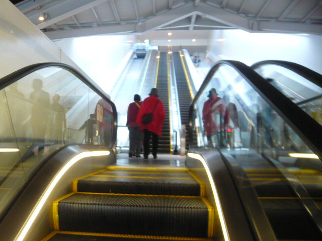 c0100865_050627.jpg