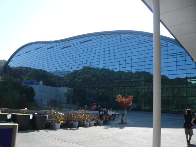 c0100865_051305.jpg