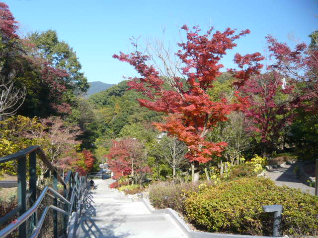 c0100865_053182.jpg