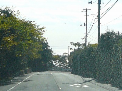 d0159669_18145850.jpg