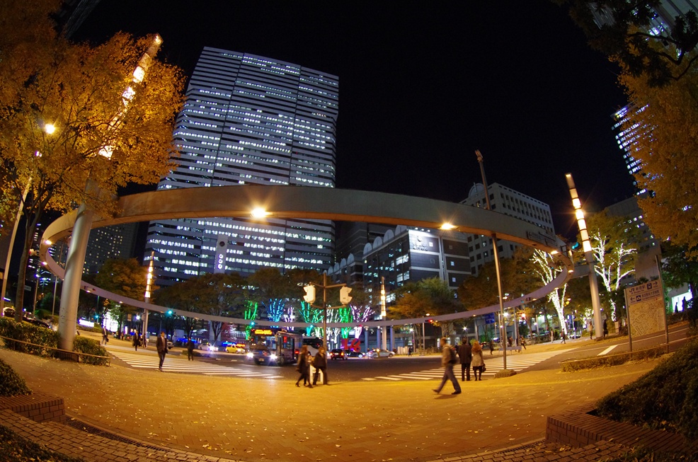 b0165778_926502.jpg