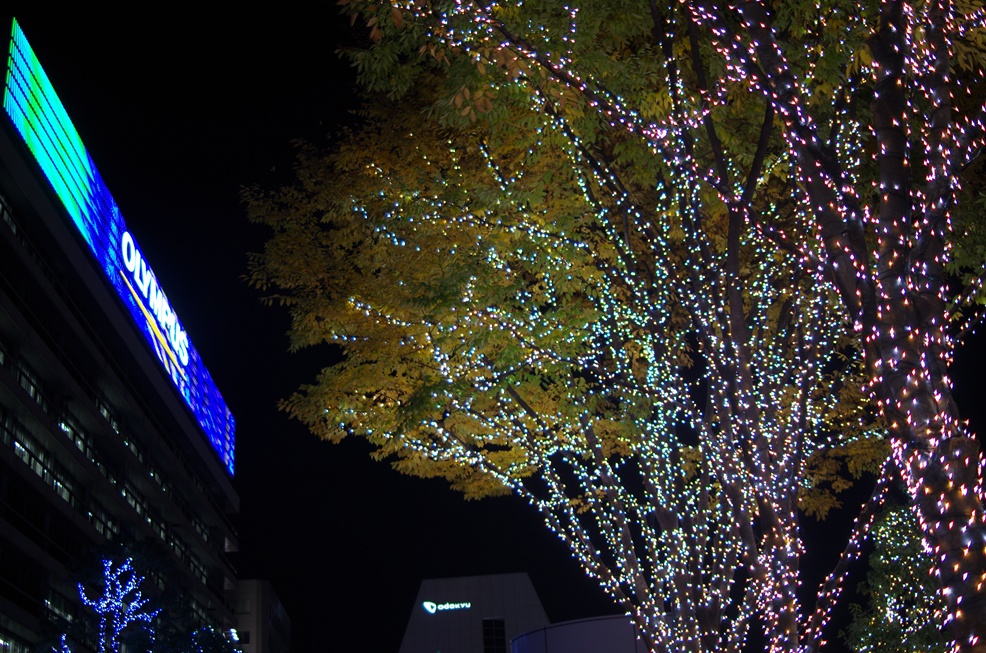 b0165778_9352610.jpg