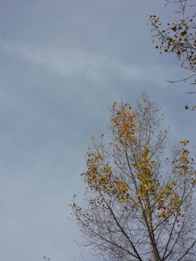 a0152785_2251531.jpg