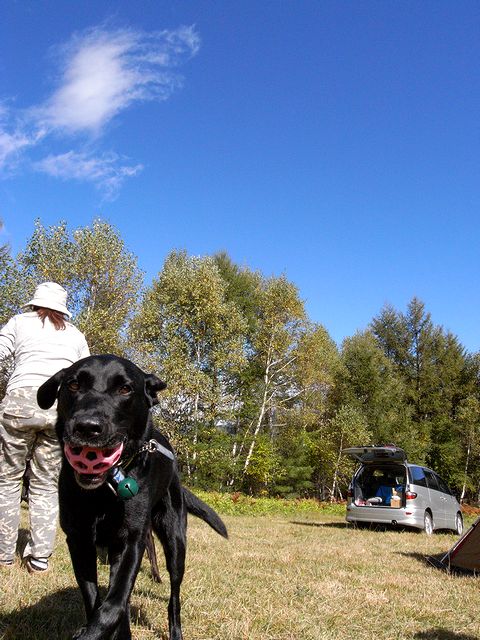 a0093592_23495710.jpg