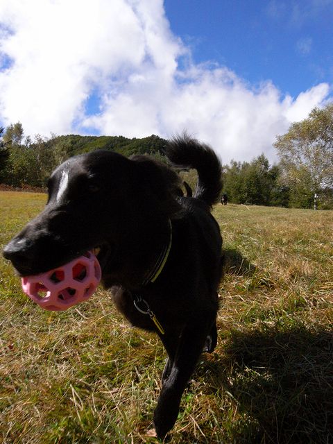 a0093592_23504544.jpg