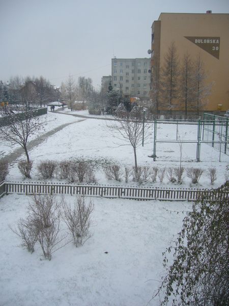 f0169397_2154355.jpg