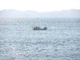 d0024504_12382462.jpg