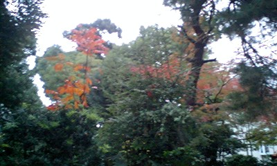 d0054704_1455156.jpg